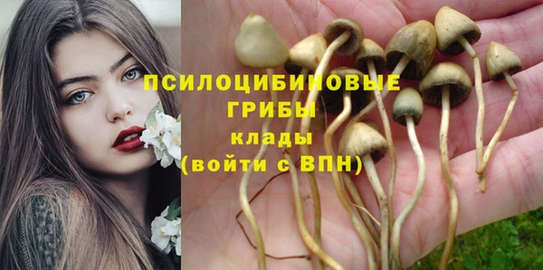 хмурый Волосово