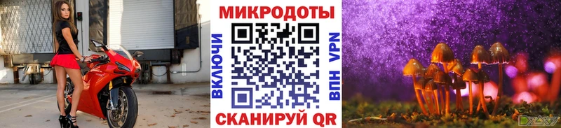 blacksprut зеркало  Ефремов  Галлюциногенные грибы GOLDEN TEACHER  дарнет шоп 