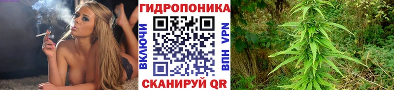 Конопля гибрид  Ефремов 